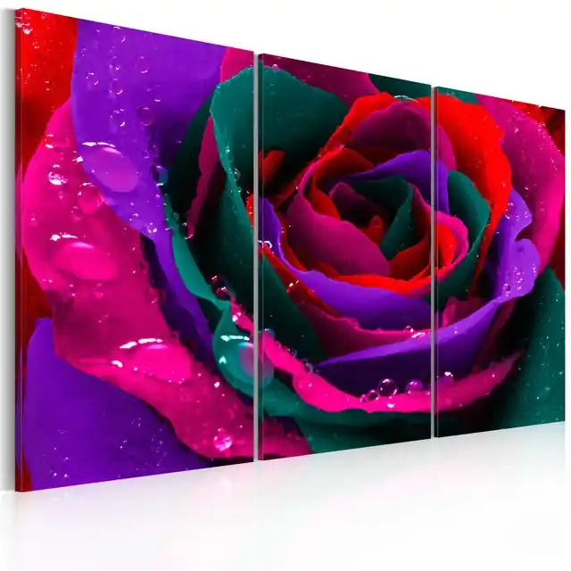 Cumpărături sigure Tablou - Rainbow-hued rose