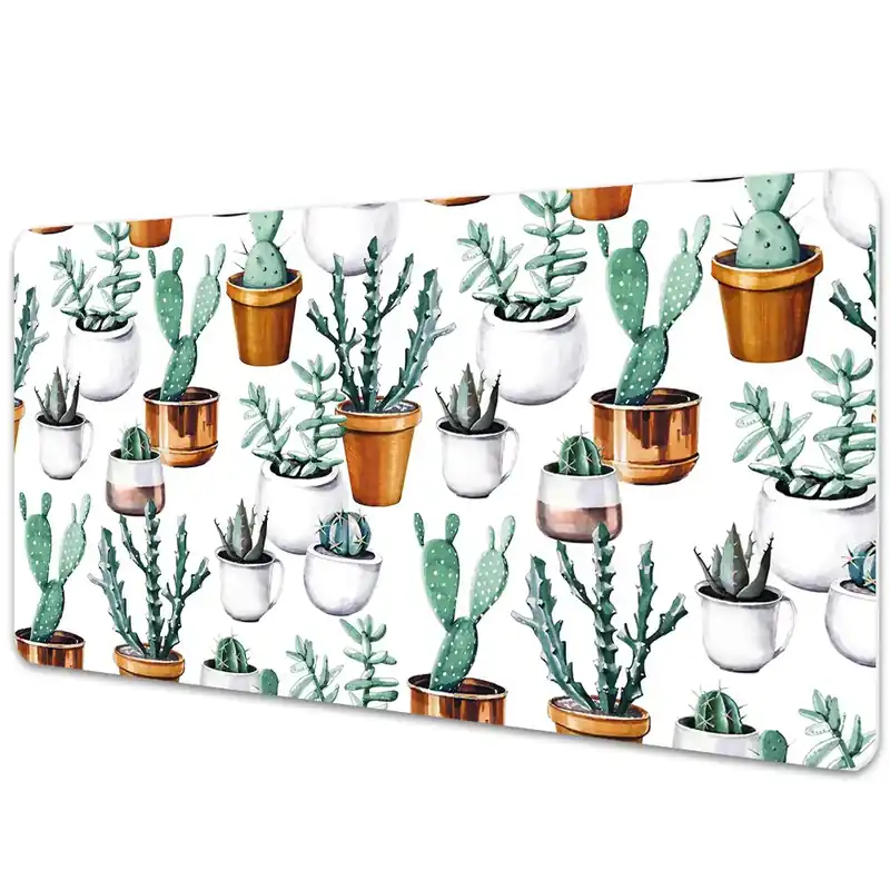 Vezi acum Mapa protectie birou Ghivece cu cactuși
