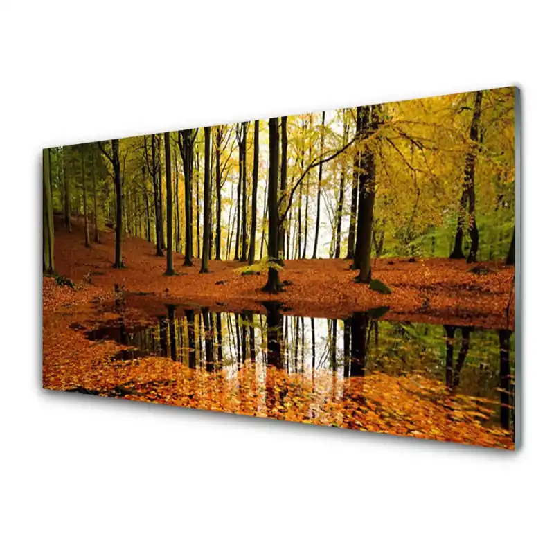 Bestseller Transparenţă Arbori De Toamnă Din Pădure