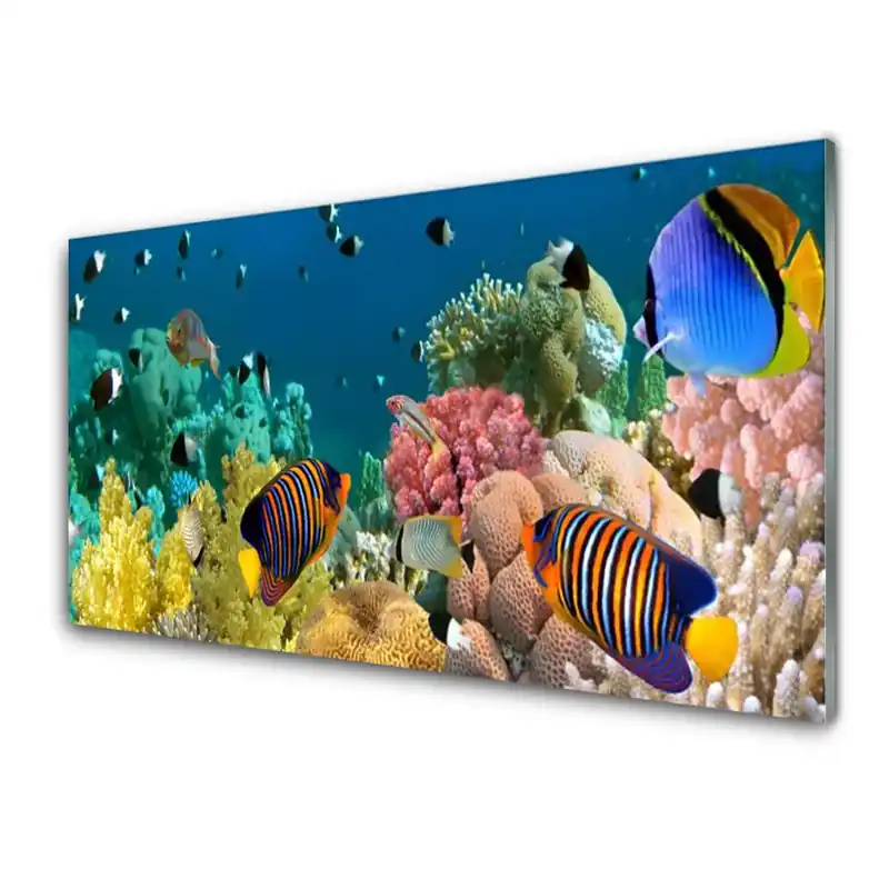 Bestseller Transparenţă Recif De Corali Colorat