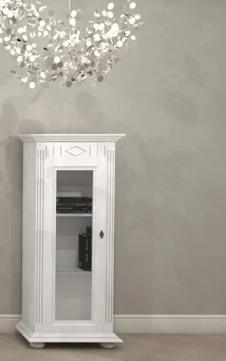 VITRINA NOBLESSE CU 1 USA Doar azi